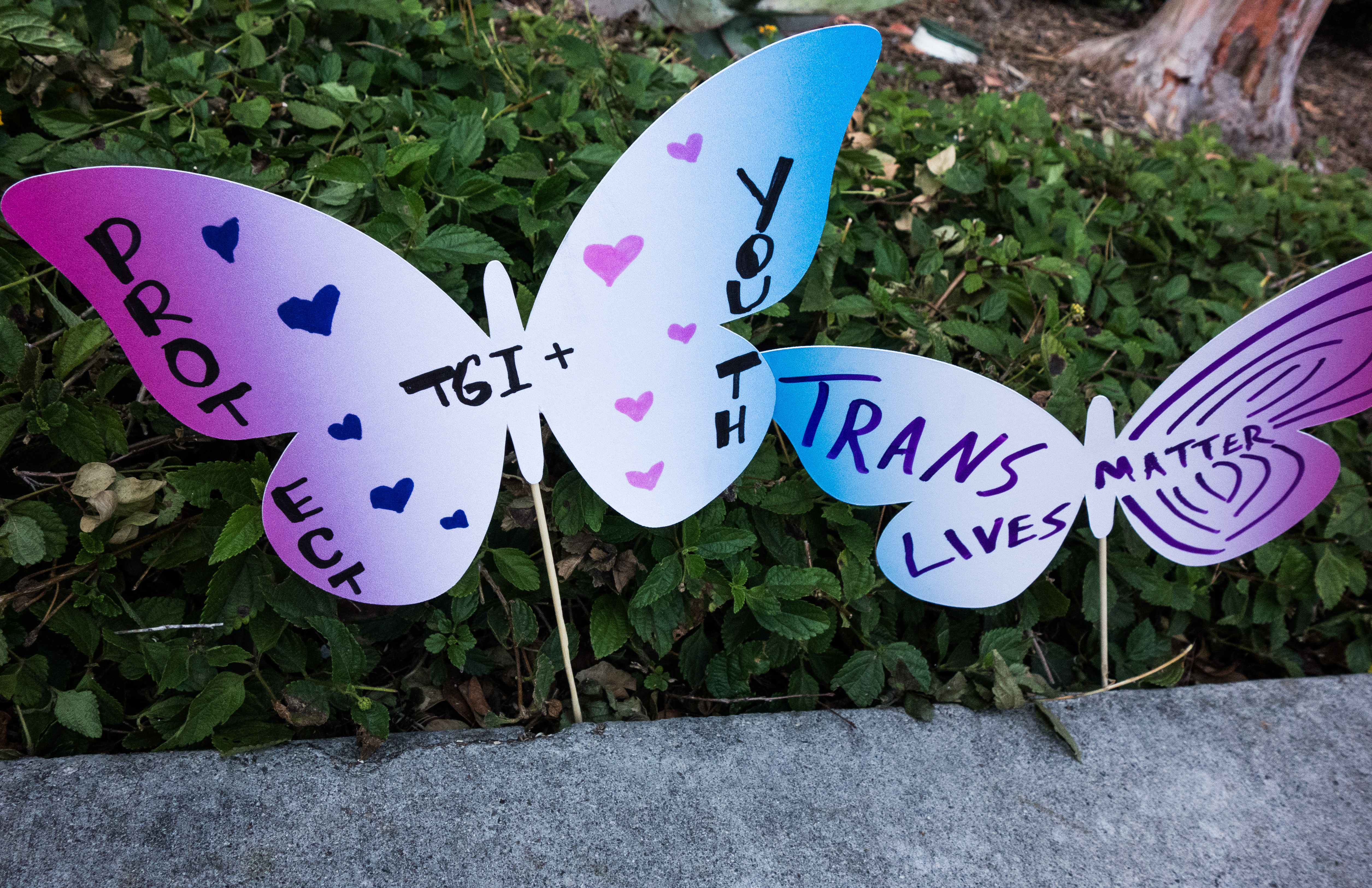 laist.com - Kevin Tidmarsh - California approves millions in funding for trans health care in state budget