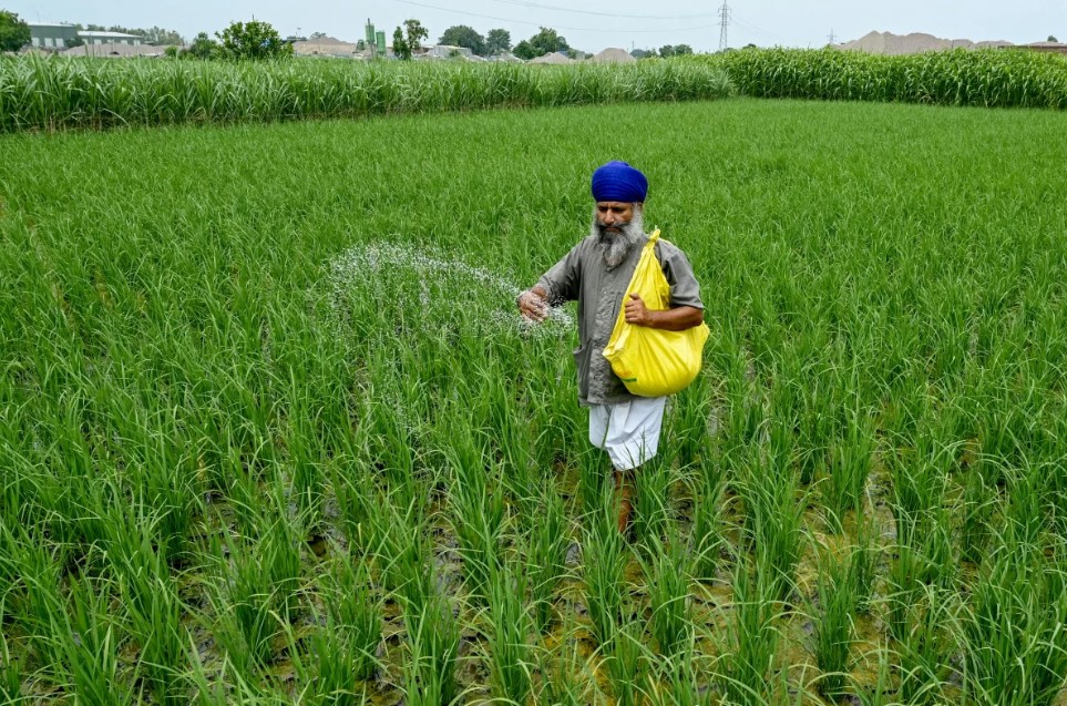 laist.com - NPR - How the Iran war threatens global food supply