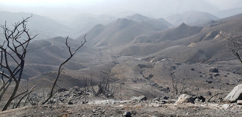 A grey, burned landscape.