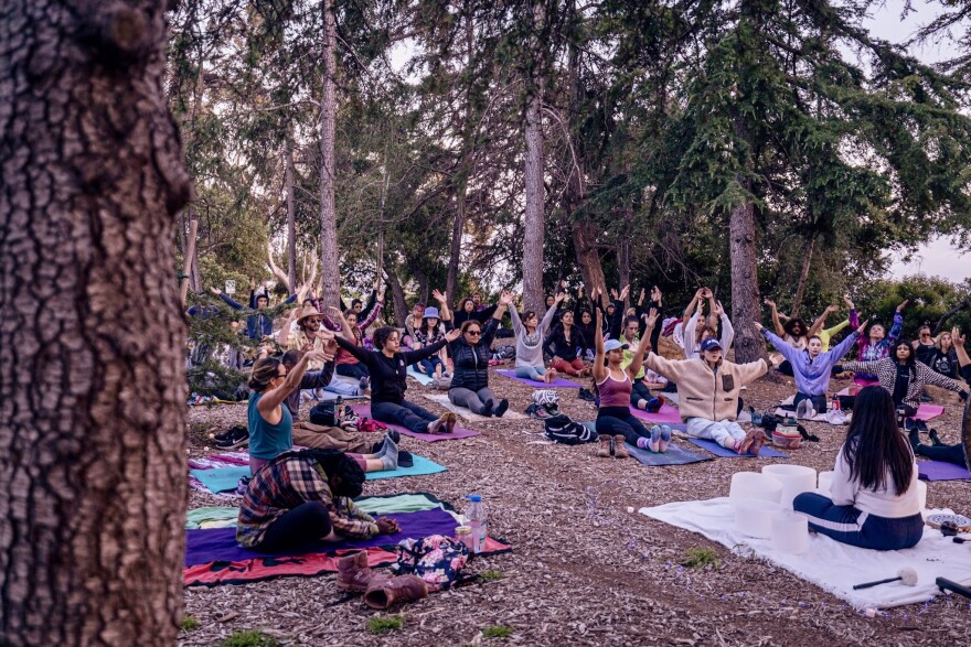 People sit on the ground under trees. Their hands are raised.