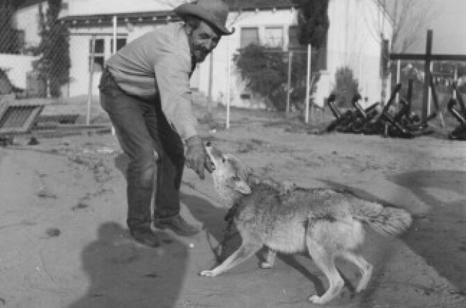 An undated "How Not To" photo from the LA Public Library.