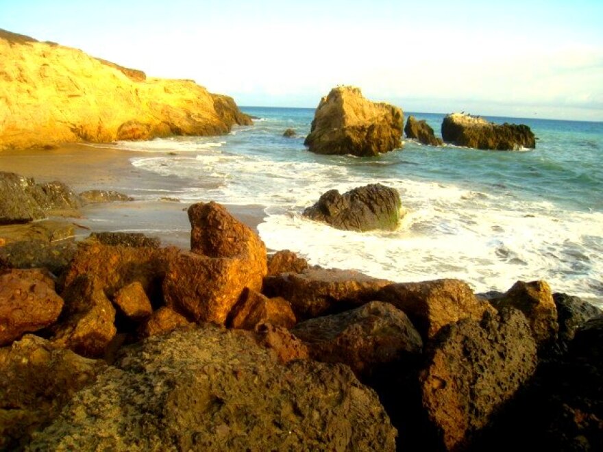 leocarillostatebeach.jpg
