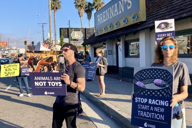 Five animal rights activists are in the forefront of the picture, demonstrating outside a bar with a sign that reads "Brennan's." They are holding signs that read "Animals Are Not Toys" and "Stop Racing Start A New Tradition."