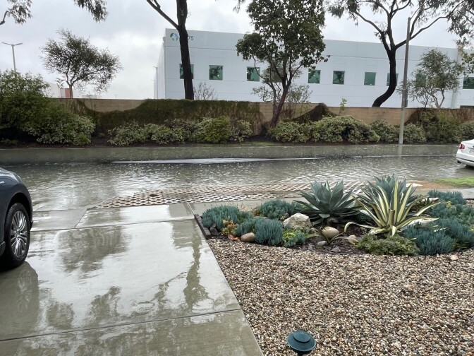 The sewage spill in the daytime as it overs the street. There is a wet driveway and front lawn plants.