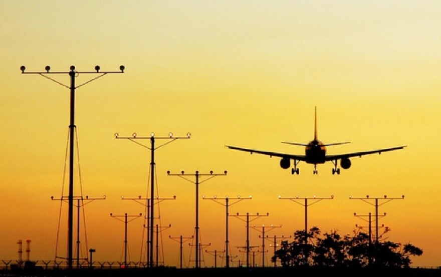 bird_strikes_airports2.jpg