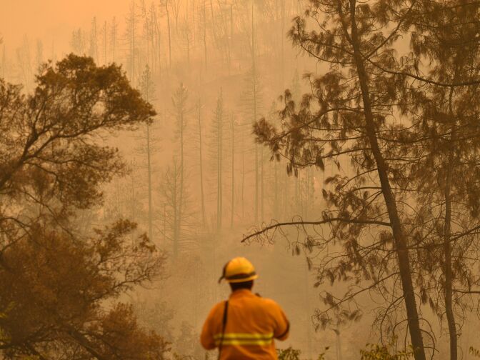 Burnt trees are seen along a hillside during the Carr fire in Redding, California on July 27, 2018. - Two firefighters have died and more than 100 homes have burned as wind-whipped flames tore through the region. (Photo by JOSH EDELSON / AFP)        (Photo credit should read JOSH EDELSON/AFP/Getty Images)