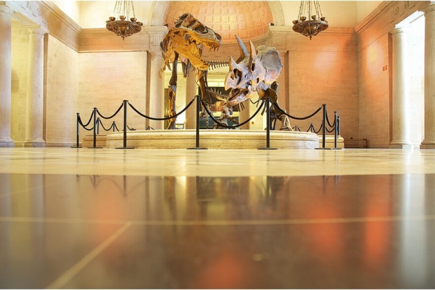 natural-history-museum.jpg