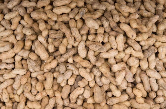 Peanuts are offered for sale at Eastern Market on Capitol Hill in Washington, DC, on June 27, 2008. According to a survey released on June 26, nearly a quarter of Americans are cutting back their spending on food and healthcare thanks to rising fuel prices. AFP PHOTO/SAUL LOEB (Photo credit should read SAUL LOEB/AFP/Getty Images)