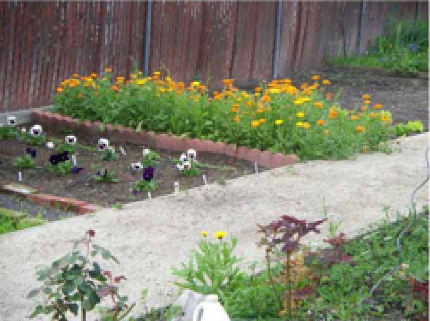 wehogarden.png