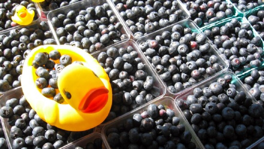 berries_1.jpg