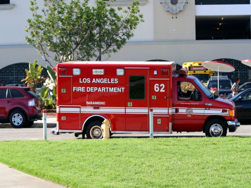 A former member of the Police Commission, Alan Skobin, was unanimously confirmed to the Board of Fire Commissioners today by the Los Angeles City Council.