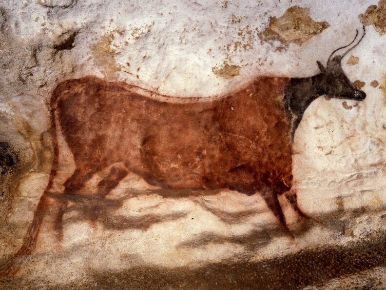 A cave painting from Lascaux, France