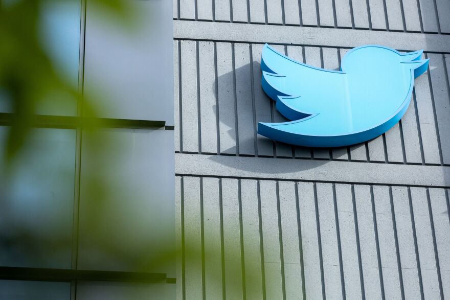 A blue bird on the side of a building