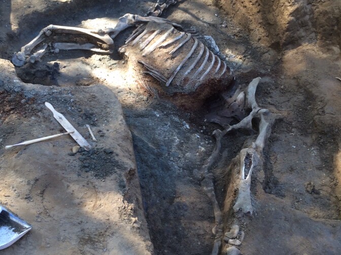 The remains of Native Diver will be removed and re-interred beneath a new monument at Del Mar Race Track in San Diego.