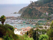 A view from Catalina Island, overlooking Avalon.