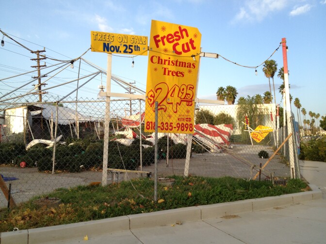 Christmas trees for purchase are left toppled after Santa Ana winds ina early December. On Thursday, the Santa Ana Winds will be back for the third time this holiday season.