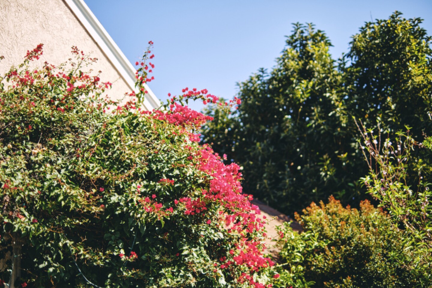 6042c61169a7c600091a01a4-eight.jpg