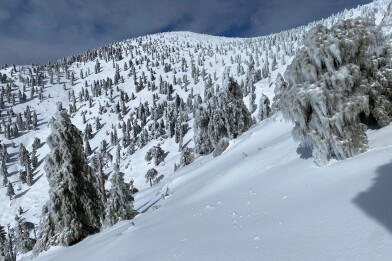 A vast snowy mountain with lots of pine trees covered in icicles. 