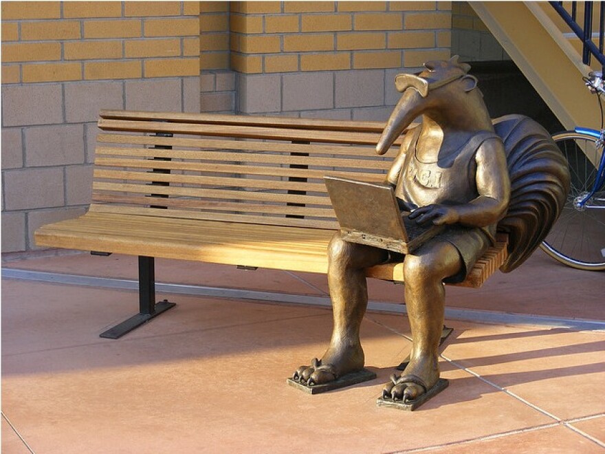 UCI_anteater.jpg