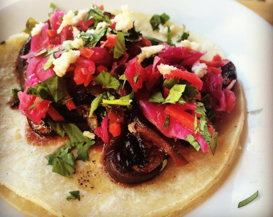 seabirds_taco.jpg