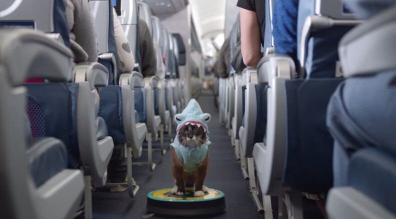 A screenshot from Delta's new in-flight safety video featuring famous Internet celebrities, memes and viral video stars like Roomba Shark Cat.