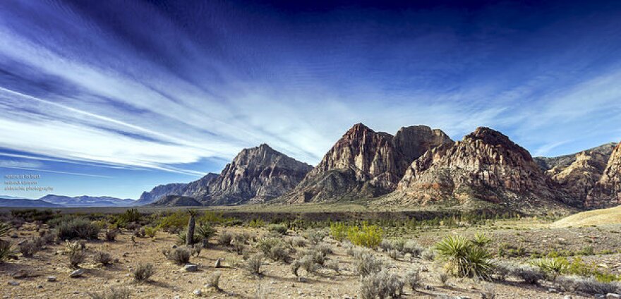 redrockcanyon.jpg