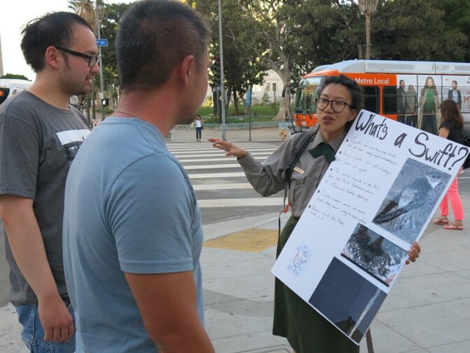 Taking her bird skills to the streets! Park Ranger Kya-Marina Le tells passersby all about the Vaux's Swift migration in downtown Los Angeles at an event last fall. 
					