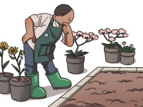 An illustration of a person with gardening gear on leans over a patch of empty dirt against a white backdrop. There are potted plants next to them on the ground.