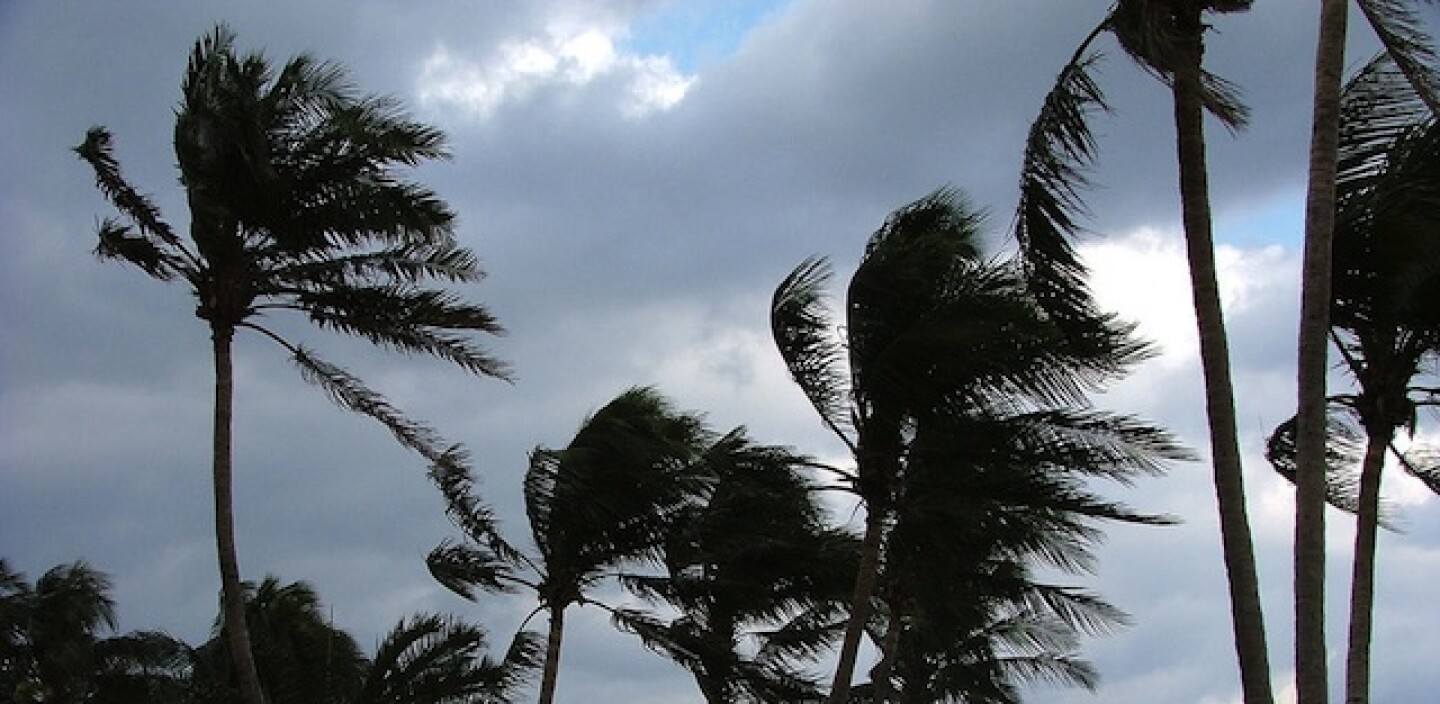 wind-california-2.jpg