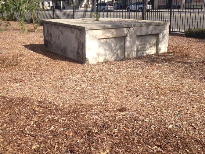 August 25, 2014. Savannah Memorial Park, where groundskeepers are letting the grass go brown and bringing in native plants, rocks, and mulch instead.
