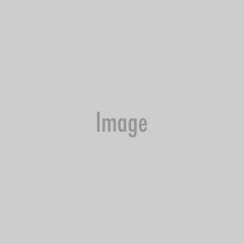 120607-everett-ap.jpg