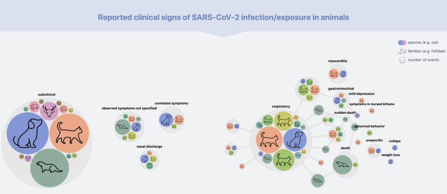 This graphic, part of an interactive <a href="https://vis.csh.ac.at/sars-ani/#infections">COVID data tracking dashboard</a> rendered by Complexity Science Hub Vienna, shows reported clinical signs of SARS-CoV-2 infection or exposure in animals. Note: "subclinical" means no detectable symptoms.