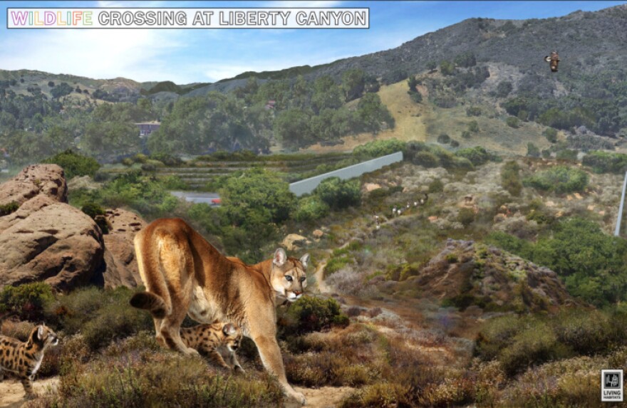 An artist's render of a Puma overlooking a canyon.