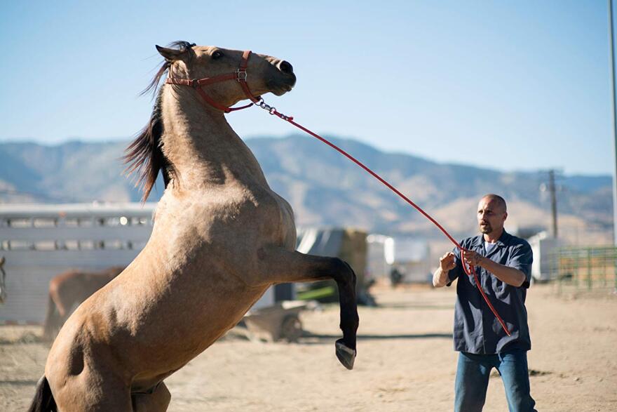 Matthias Schoenaerts stars as Roman Coleman in Focus Features' 'The Mustang'