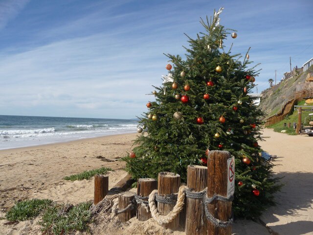 Christmas_tree_beach.jpg
