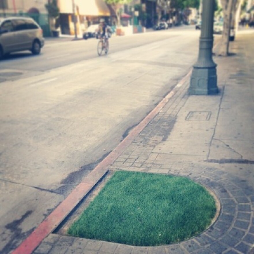 dtla-turf.jpg