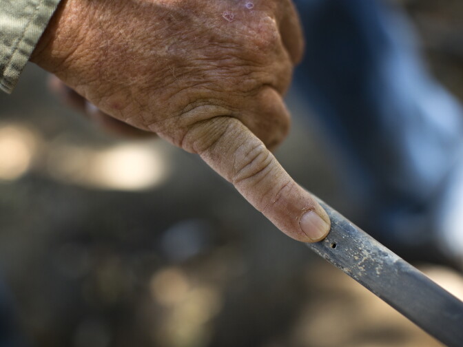 A half-gallon of water each hour comes through holes spaced 18 inches apart along hoses. The hoses line each row of almond trees at Dan and Tom Rogers Farm in Madera, Calif.