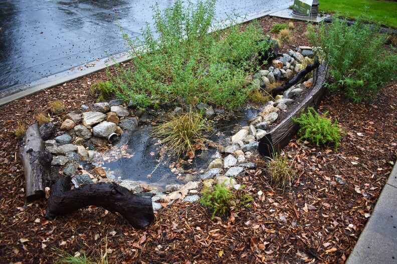 A trench lined with rocks in between mulch at a curb.