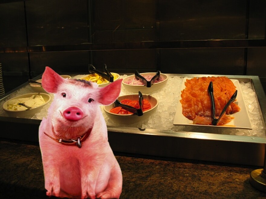 babe-pig-in-the-buffet.jpg
