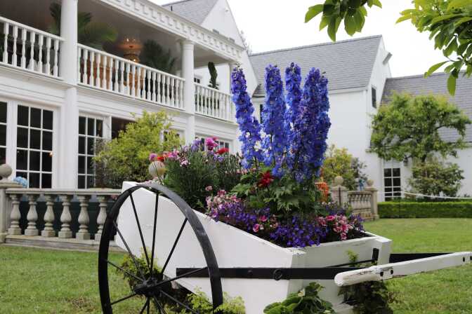 The exterior of a two-story Colonial home painted white. In the foreground is a white wheelbarrow bring used as a planter, with tall purple flowers as well as smaller pink and purple flowers.