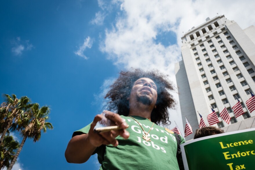 cannabis-7.jpg