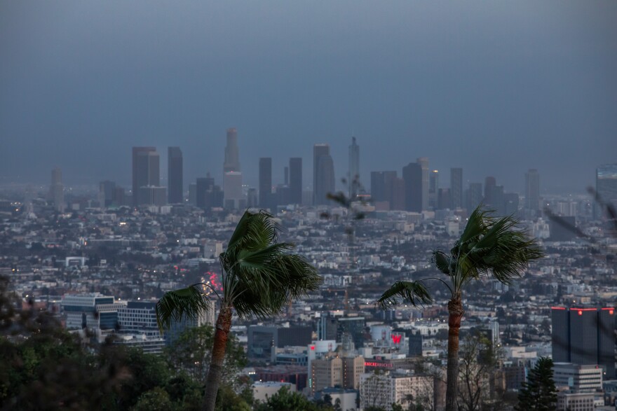 The downtown Los Angeles skyline in the distance, with a pair of wind blown palm trees in the foreground. The sky is gray, dark, and hazy.