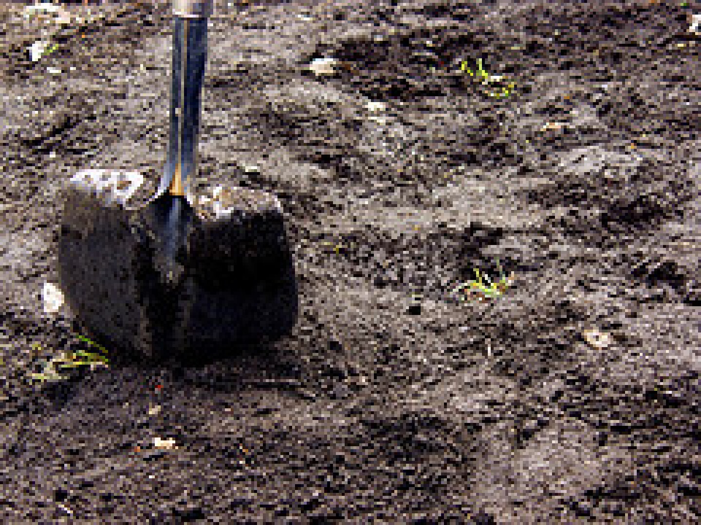 shovel-pause-dirt.jpg