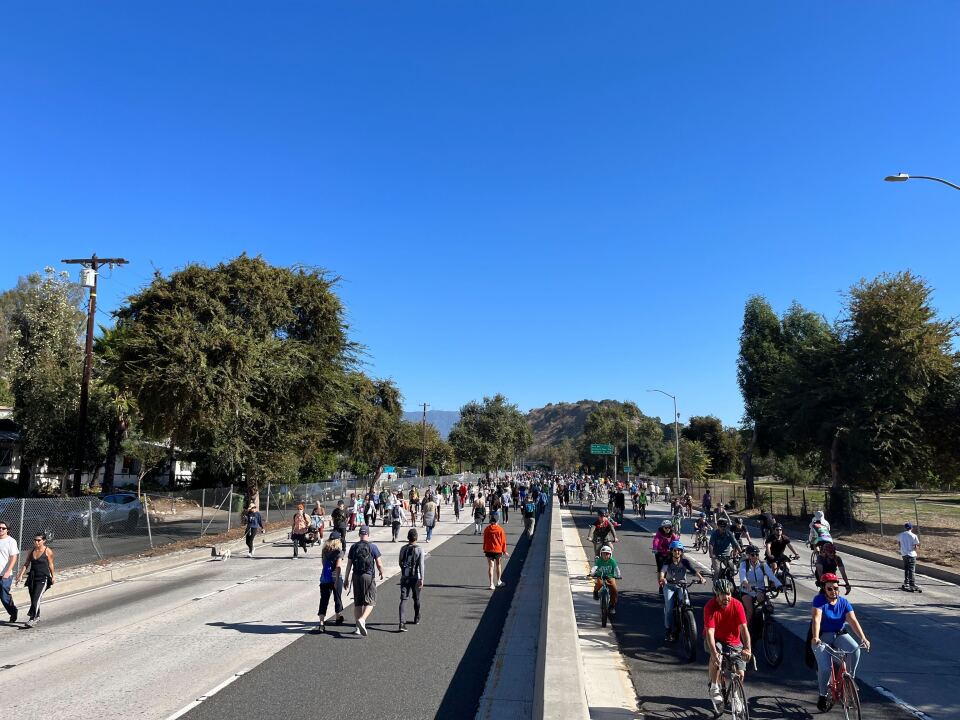 Dozens of bikers, skateboarders and pedestrians on the 110 freeway.
