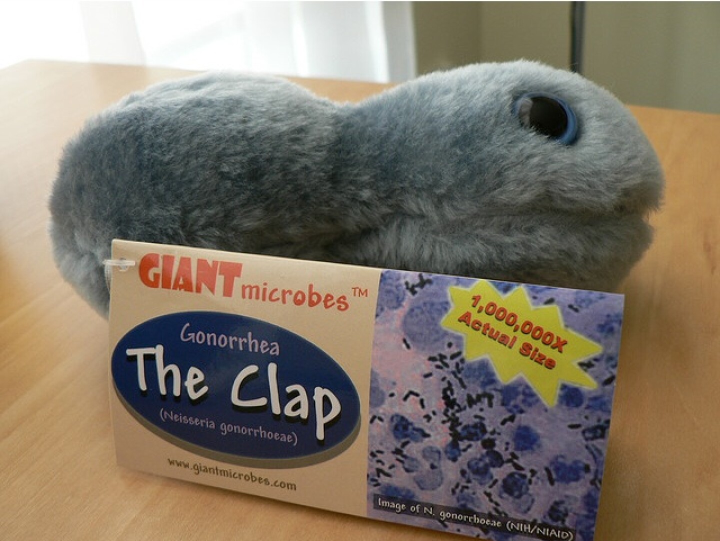 gonorrhea-microbe.jpg