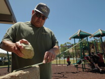 A man wearing a green shirt crushes a green plant blade with a rock. 