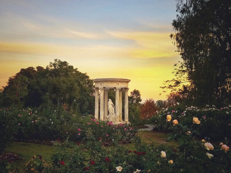 A white stone statue of a woman on a platform surrounded by columns is center. Rose bushes with flowers red, yellow, and pink fill the space below a twilight sky of golden clouds.
