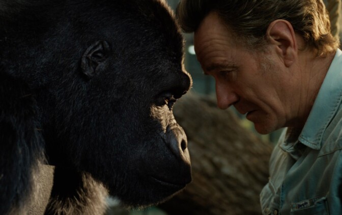 Sam Rockwell (L) voicing Ivan the gorilla and Bryan Cranston (R) in "The One And Only Ivan".