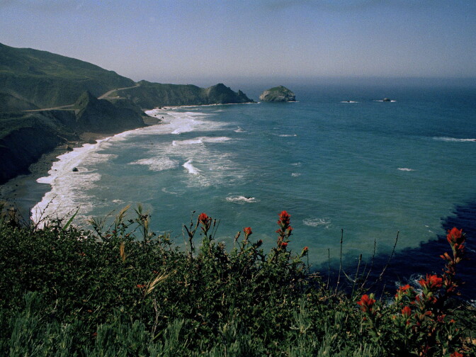 Wildflowers underscore the Pacific coast at Big Sur, Calif., is shown in this undated photo.