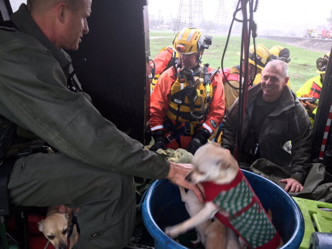 Two stranded women — and a litter of puppies — were rescued from the San Gabriel river bed on Friday, Dec. 16, 2016.